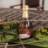 images/SS/Evento Bellaria-19.jpg